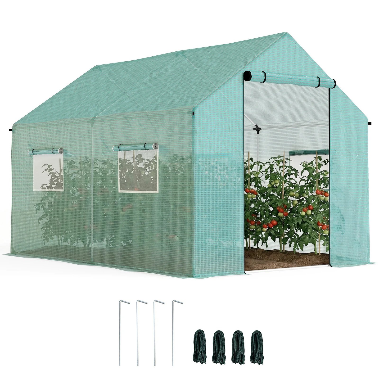 Serre de Jardin Tunnel 6 m² (2 × 3 m) — Bâche PE Anti-UV, 4 Fenêtres, Porte Enroulable, Armature Acier Galvanisé
